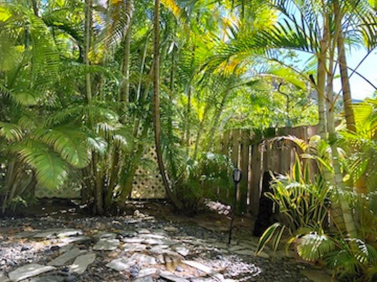 Lovely Relaxing Lanikai Studio, Legal Vacation Rental Kailua Dış mekan fotoğraf