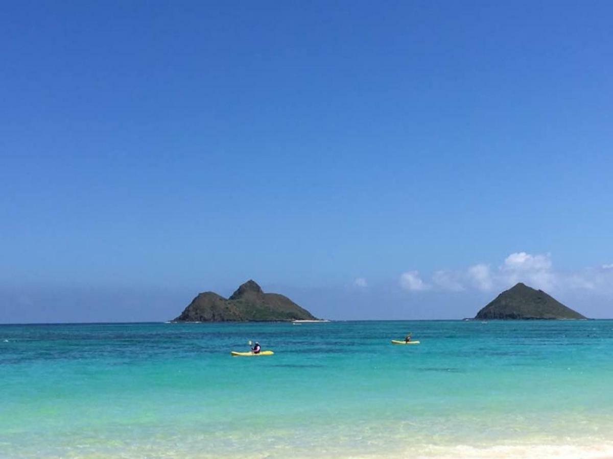 Lovely Relaxing Lanikai Studio, Legal Vacation Rental Kailua Dış mekan fotoğraf