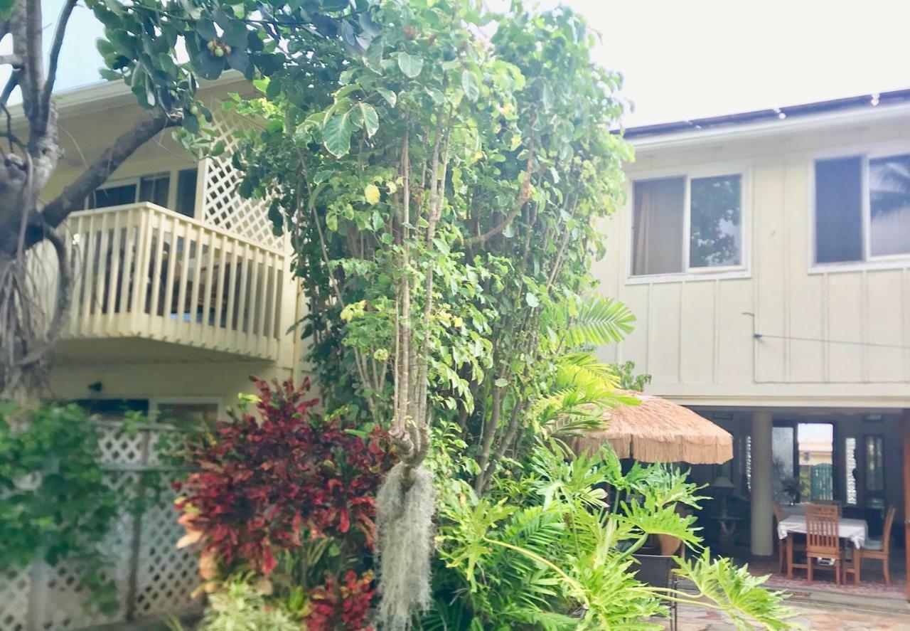 Lovely Relaxing Lanikai Studio, Legal Vacation Rental Kailua Dış mekan fotoğraf
